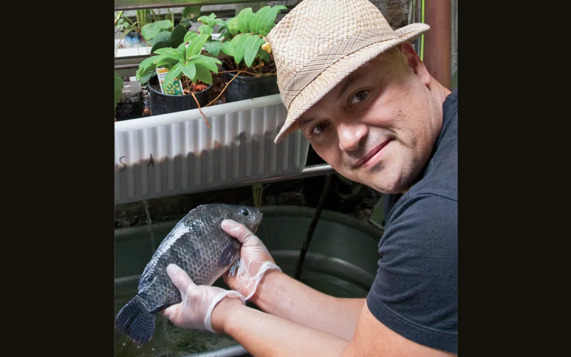 The 100-gallon closed loop system is stocked with dozens of tilapia whose poop helps grow herbs, strawberries, and other crops in a separate tank. Even with his small setup, Kindell harvests up to 50 pounds of fish every th
