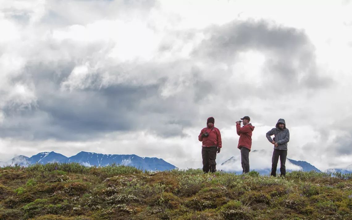 Michael Brune, Rue Mapp, and Jason Mark in Alaska's Arctic National Wildlife Refuge.