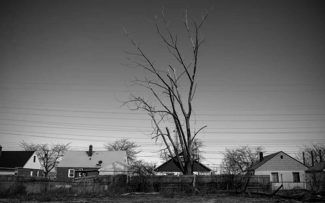 Houses in Tonawanda, New York.
