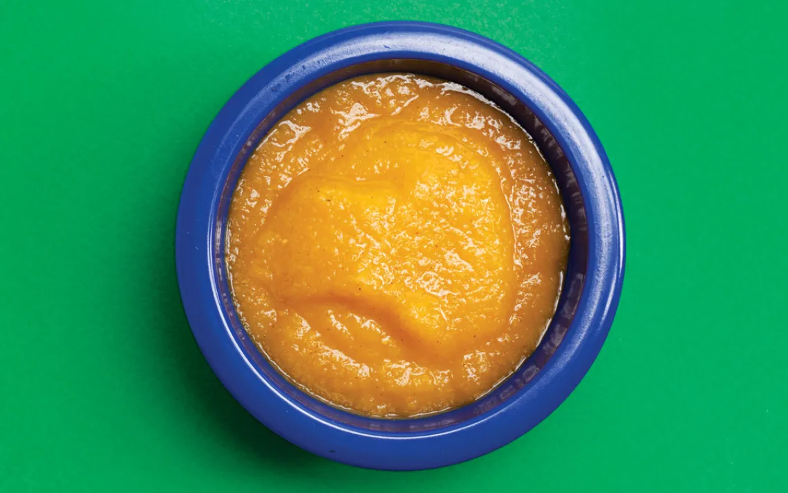 Apple, Pumpkin, and Granola puree from Beech-Nut 