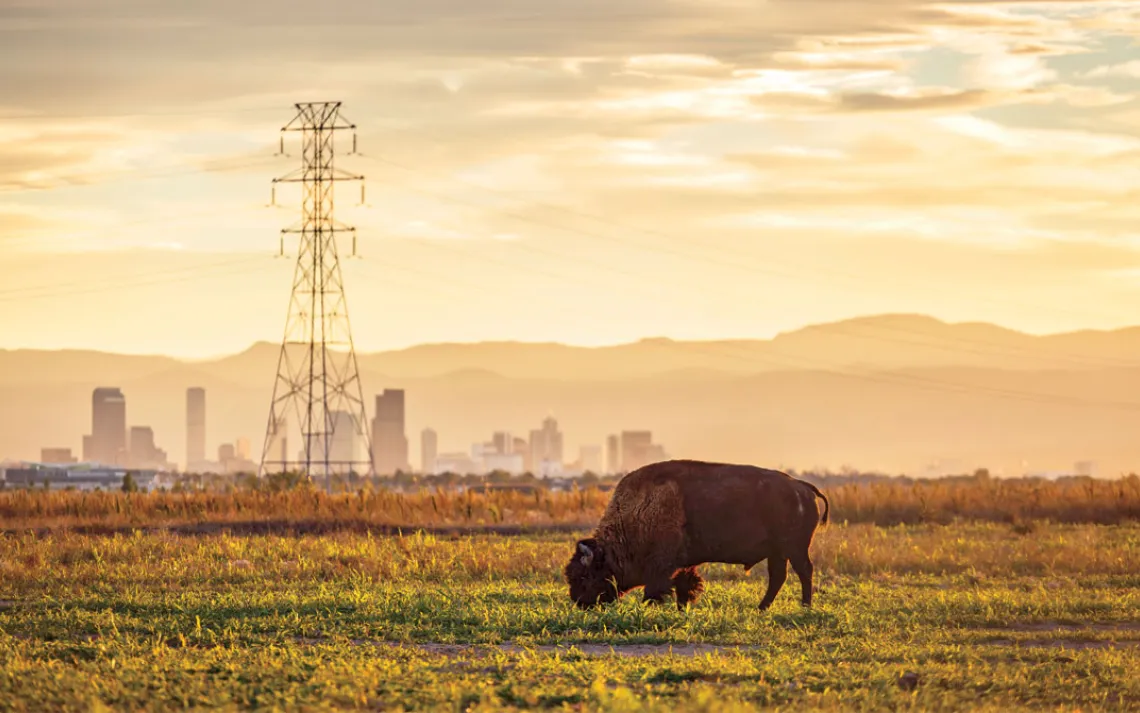 Rocky Mountain Arsenal National Wildlife Refuge, Denver, CO
