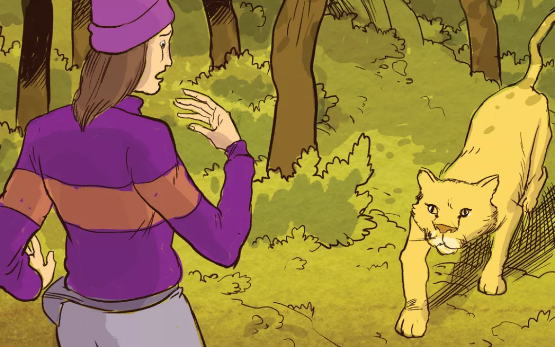 When we made eye contact, the mountain lion stood up and took a few steps toward me. I reached for my whistle, but today of alL days I had forgotten it. I wanted to run, but I knew that was the wrong response.