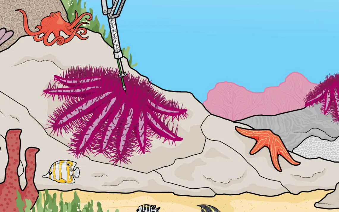 When COTSbot spots a target, it goes into position over the starfish and unfolds its arm, which has a needle at the tip.