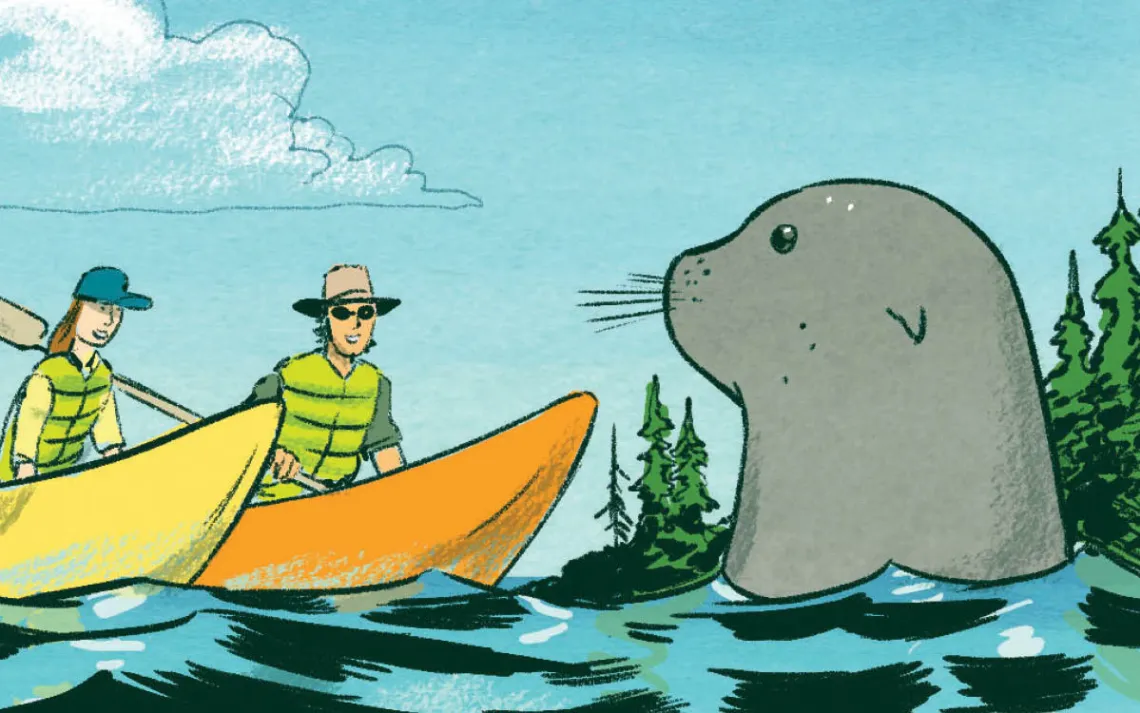 It turned out to be a large seal that had taken an apparently amorous interest in Evan's boat. At first we thought it was hilarious.