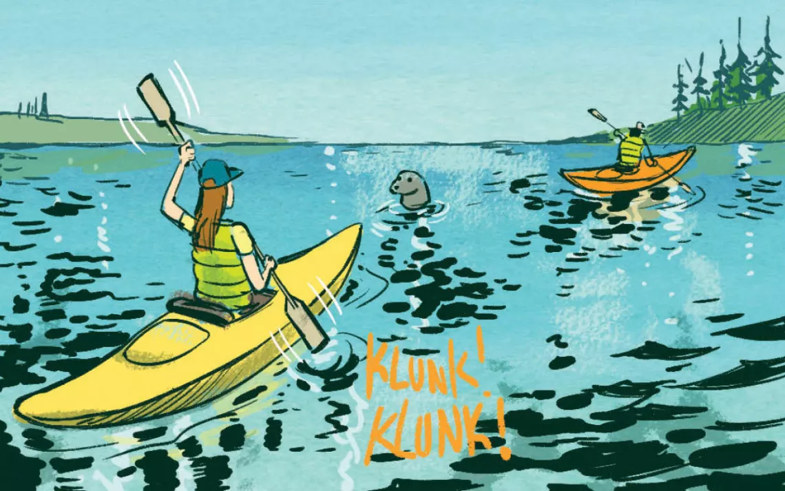 Finally, I tried to distract the seal by banging on the side of my boat, giving Evan a chance to escape. It worked, but just barely. What else could we have done?
