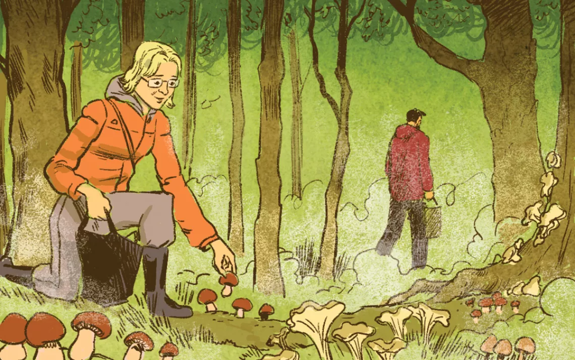 Mushroom collector makes a tiny mistake, almost needs a new liver