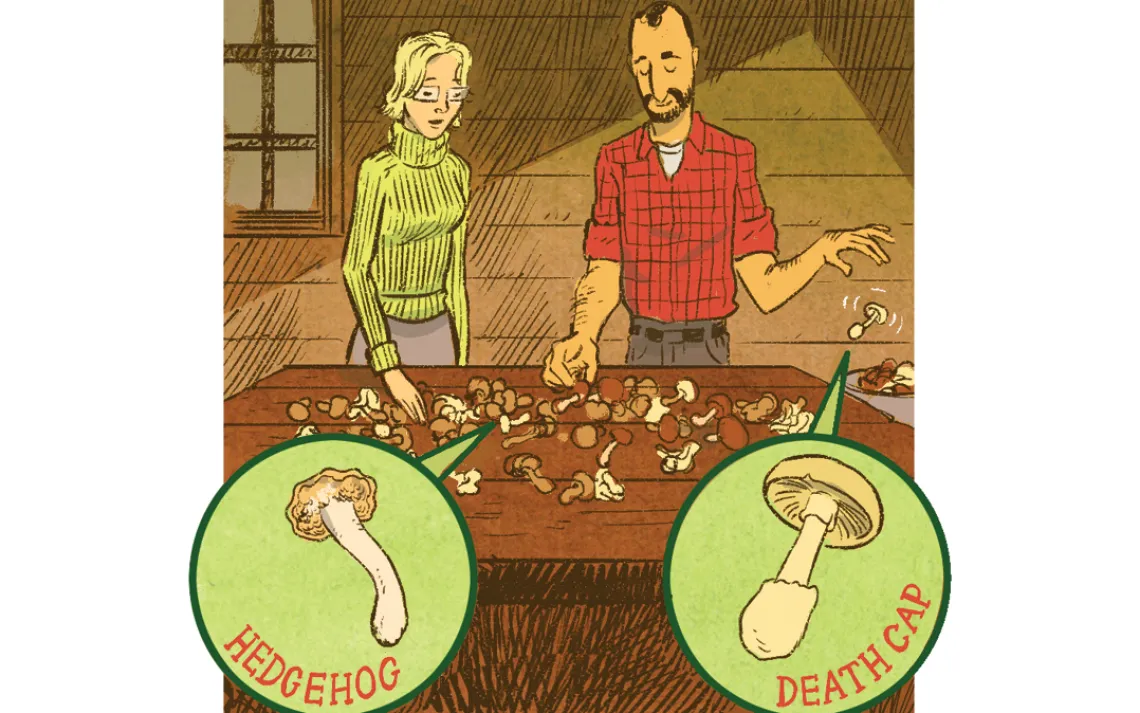 Mushroom collector makes a tiny mistake, almost needs a new liver