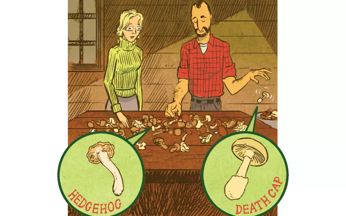 Mushroom collector makes a tiny mistake, almost needs a new liver