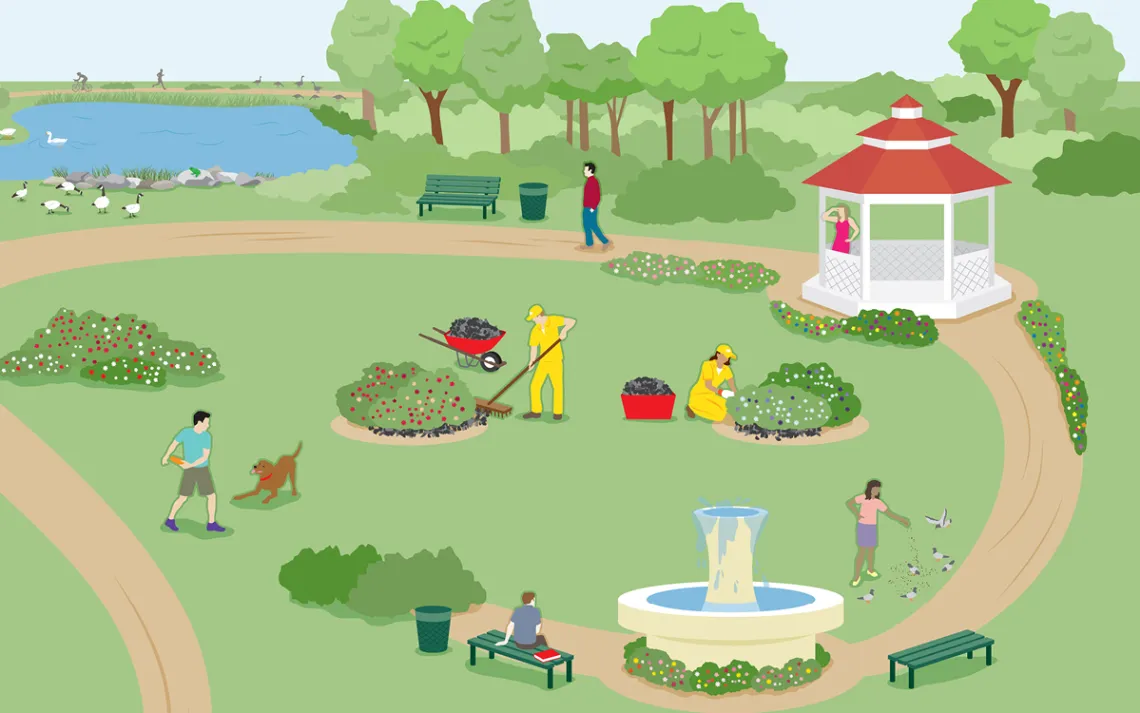 The biochar is tilled into the soil in Stockholm's parks.