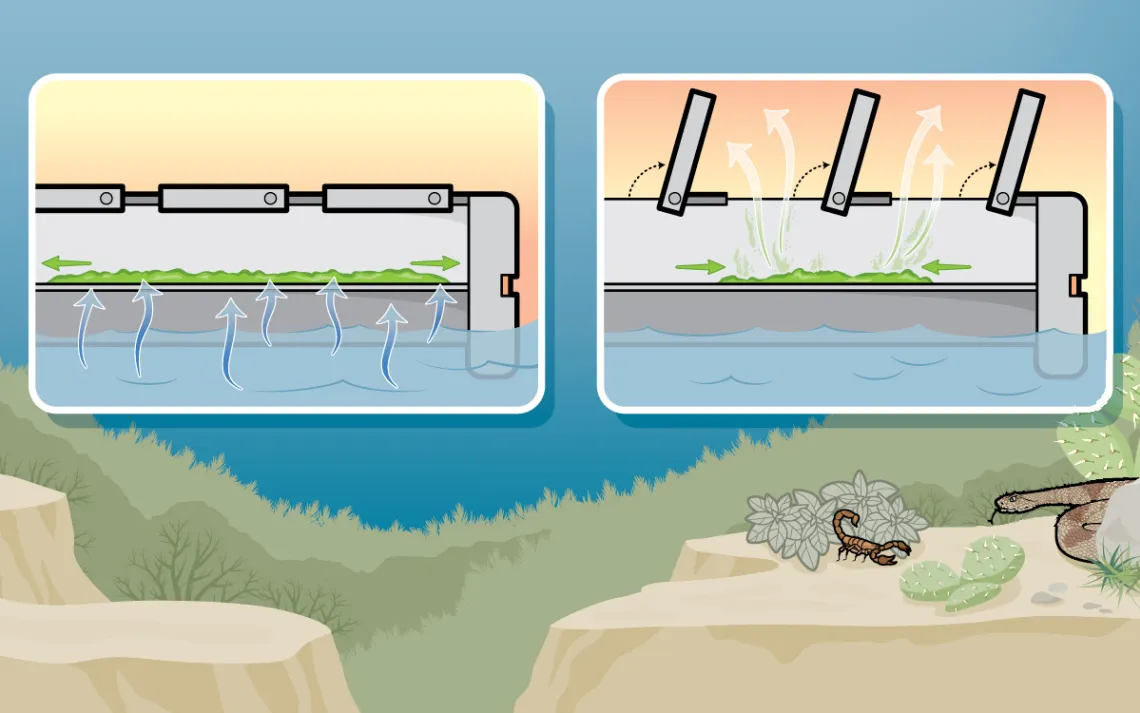 The mechanical energy created as the sheets of spores expand and contract can be used to push and pull the components inside a generator, thus producing clean electricity.