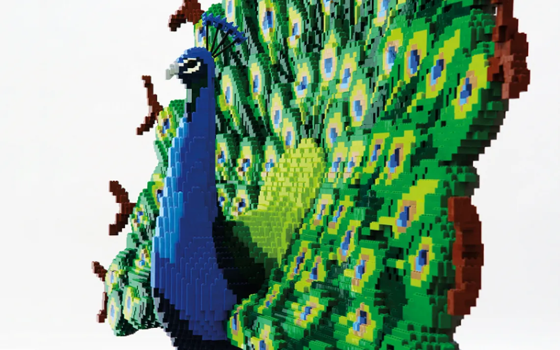 Sean Kenney's "Peacock," 2015