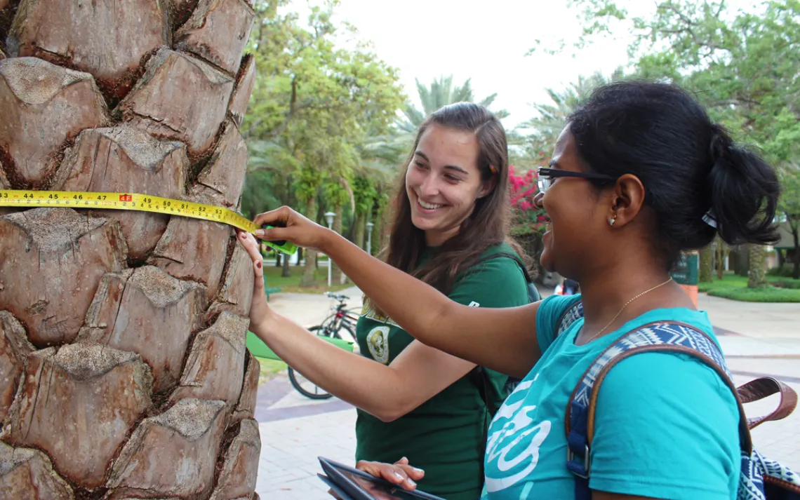 #7 UNIVERSITY OF SOUTH FLORIDA