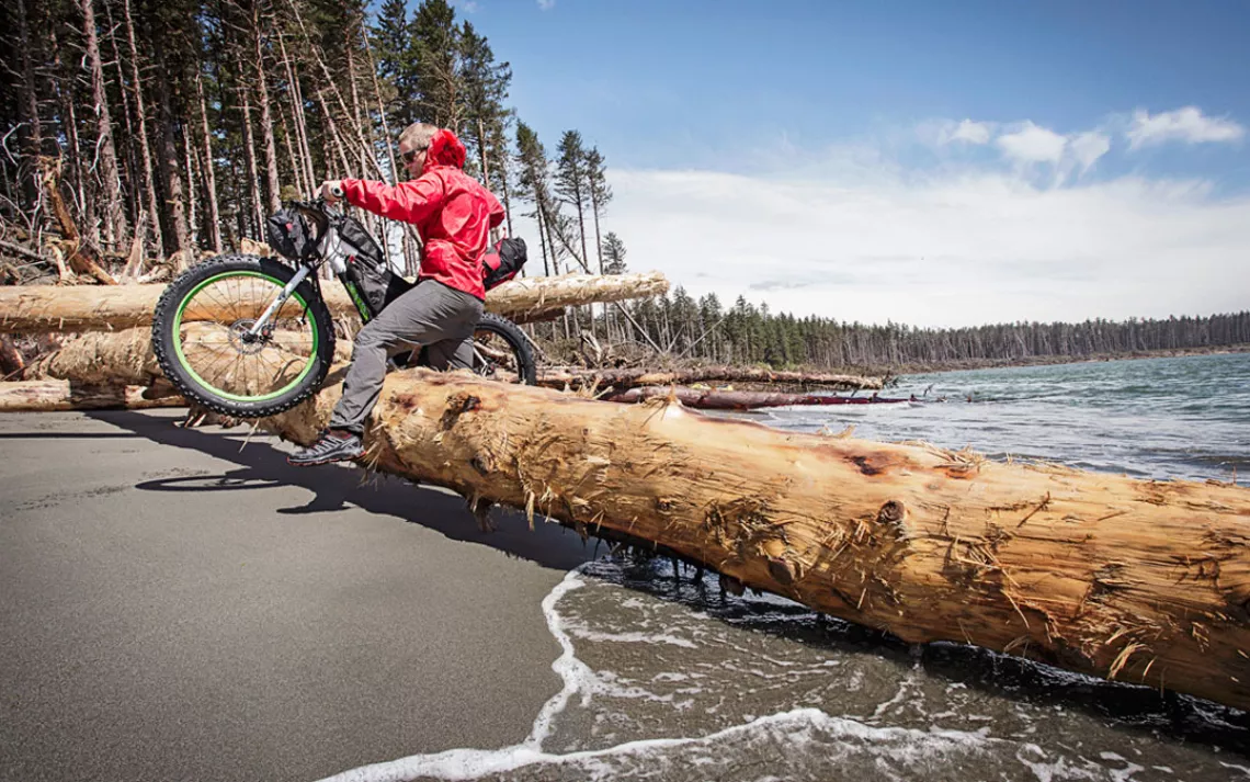 Storm-downed spruce pillars on the Lost Coast present cycling challenges.