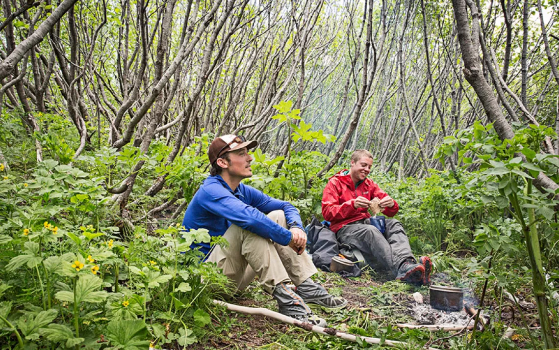 Instant oatmeal and rum in an alder thicket provide shelter from the storm