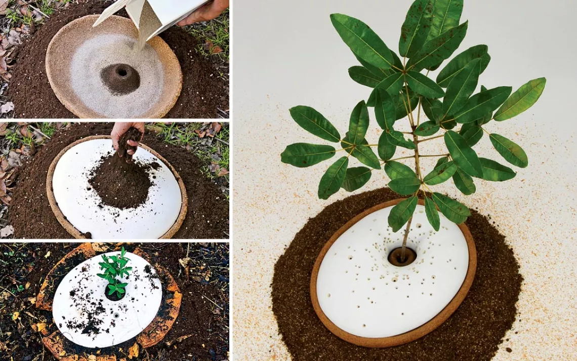If you’re a tree hugger who wants the last laugh, there’s the Spiritree bio-degradable urn.