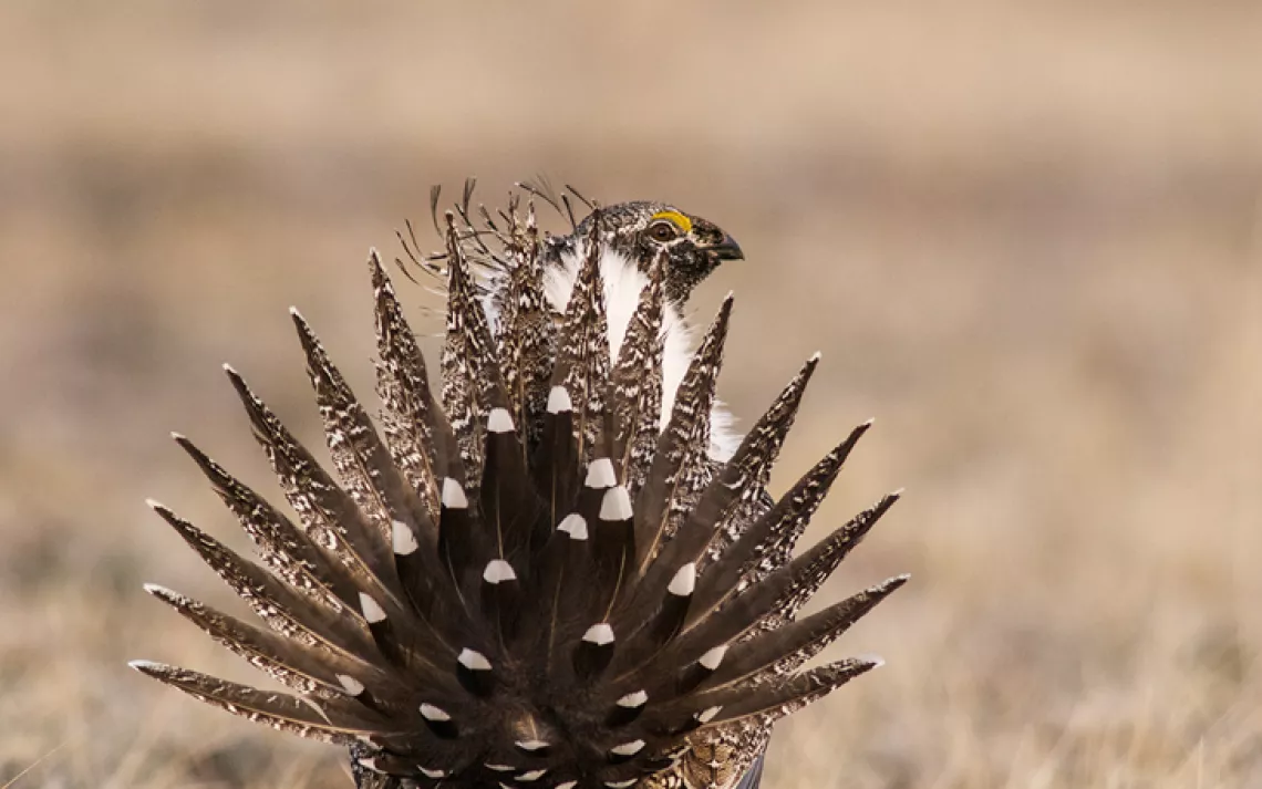 filename