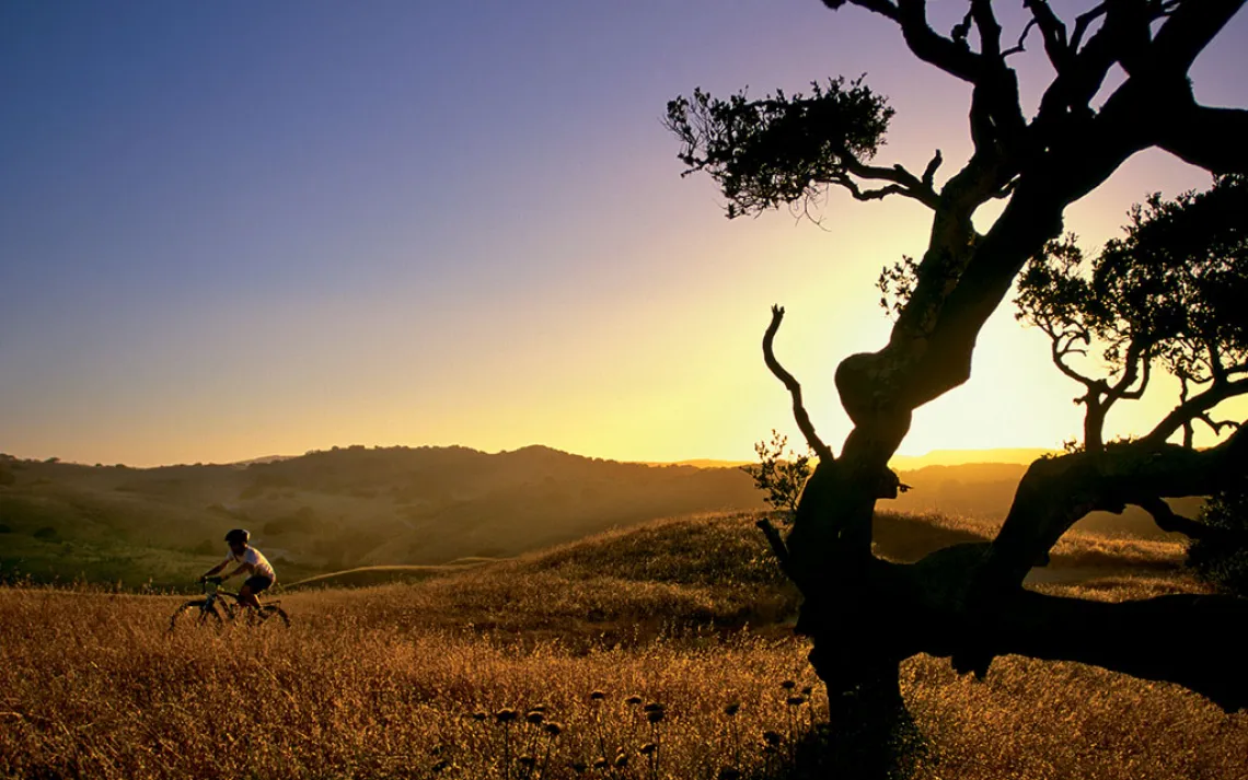 Victory: Fort Ord
