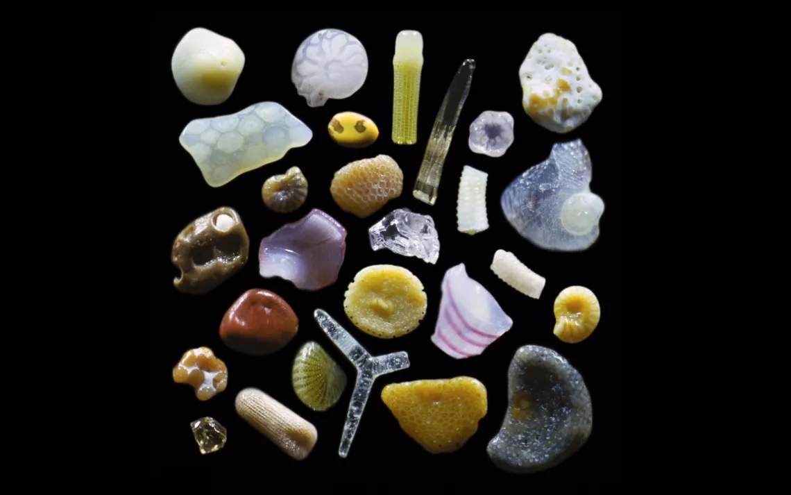 Sand grains from a Maui beach