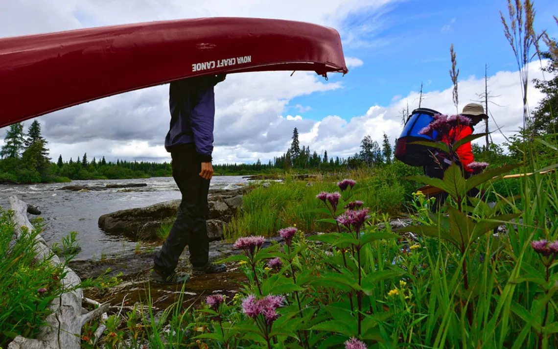 The first of several short portages around the upper Otoskwin's burbling cascades