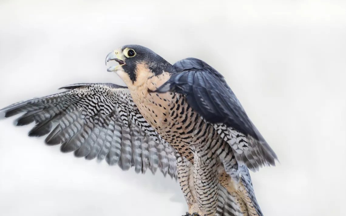filename