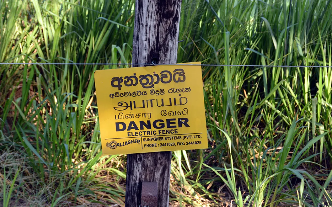 Sri Lanka