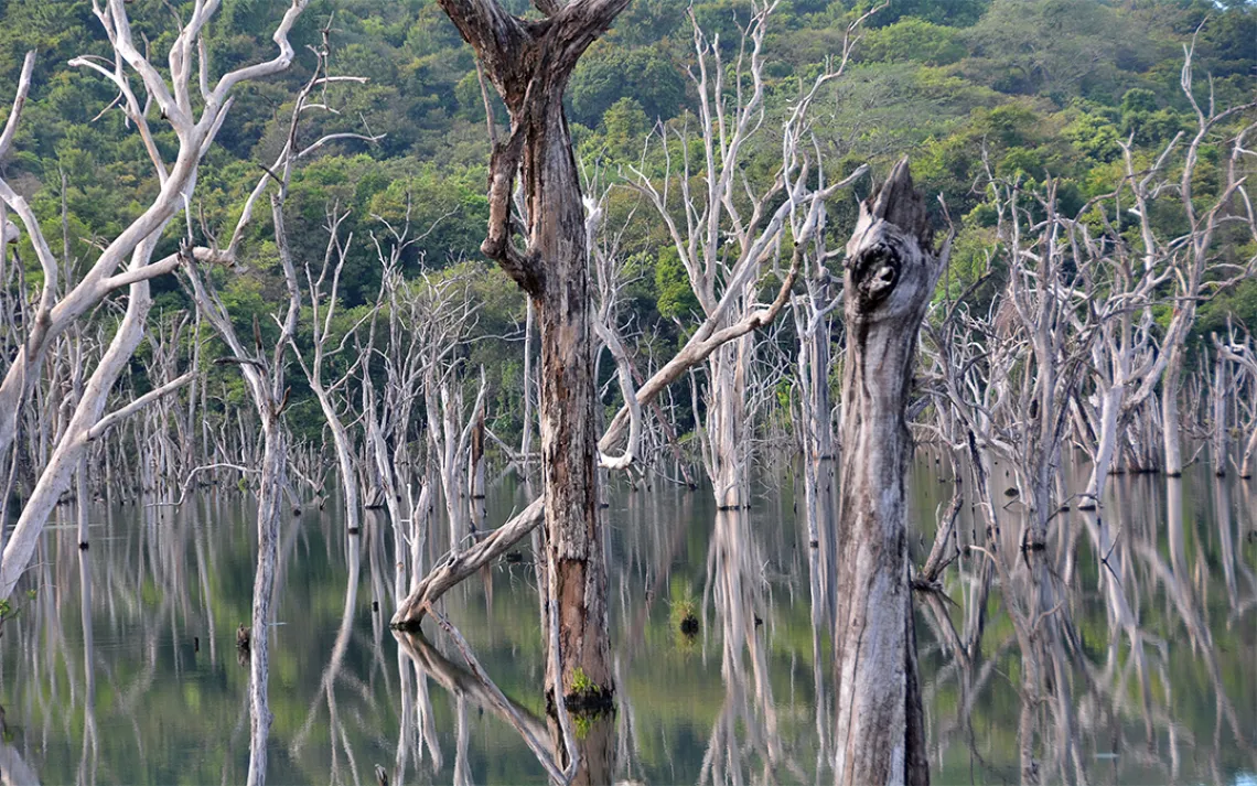 Sri Lanka