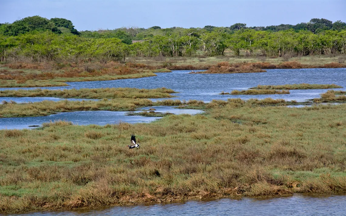 Sri Lanka