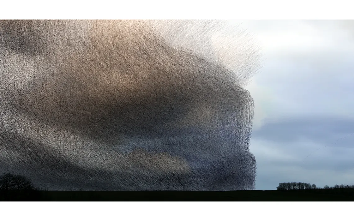 A flock of starlings against a blue sky with fluffly clouds, looking almost like a tornado.