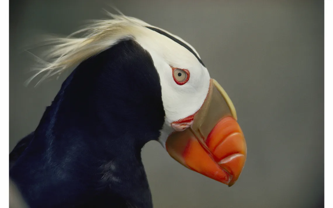 filename