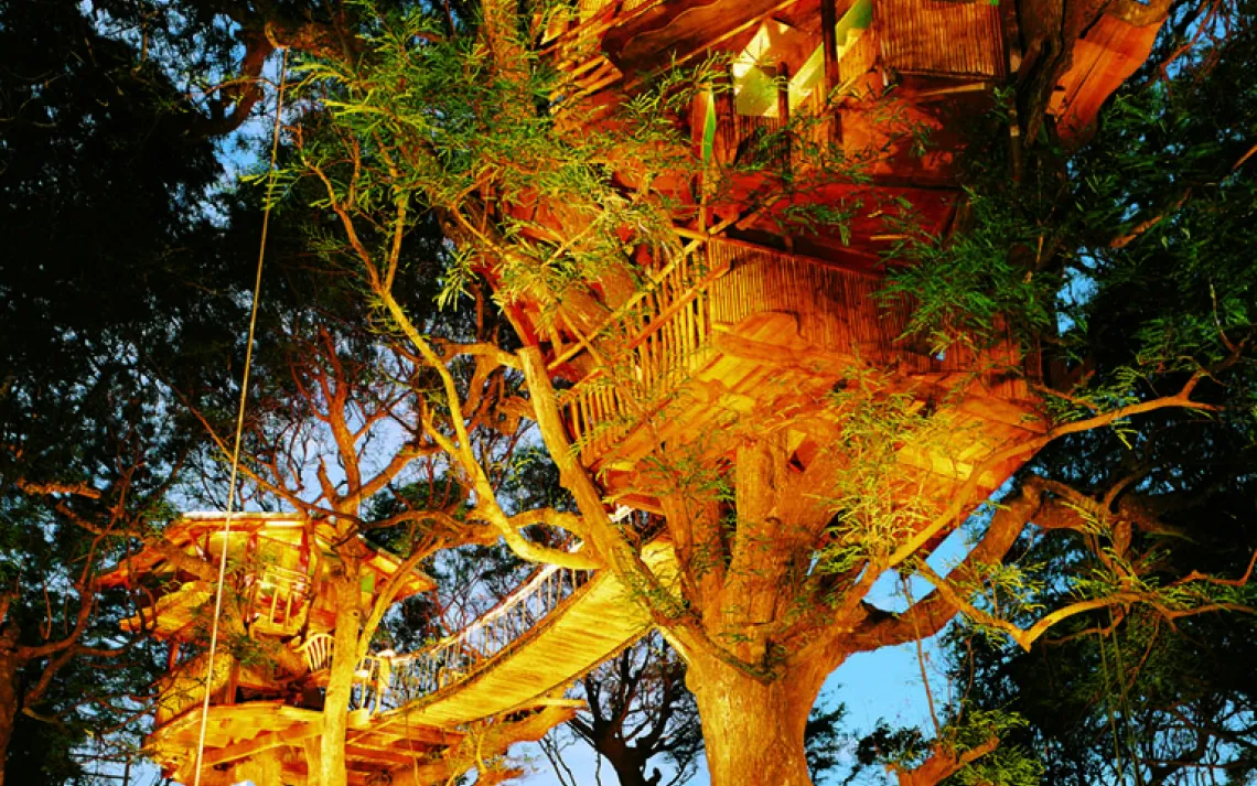 Sanya Nanshan Treehouse
