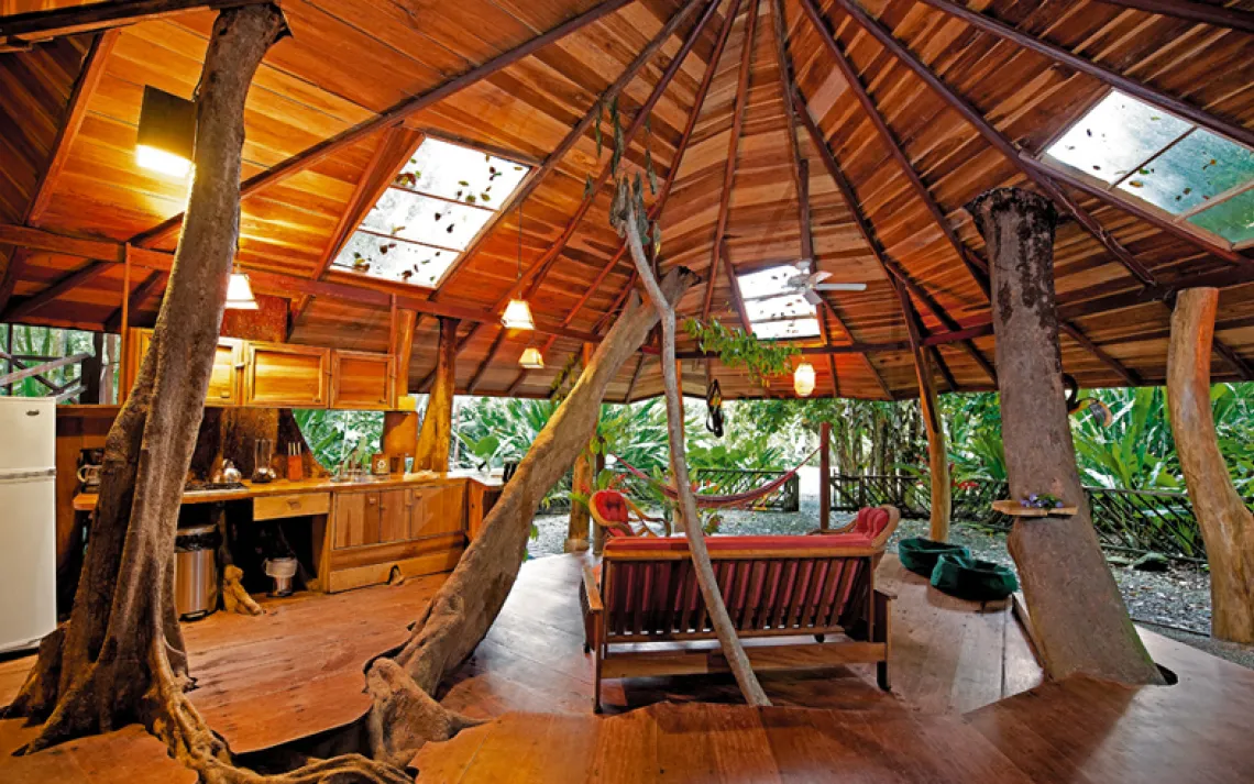 Tree House Lodge