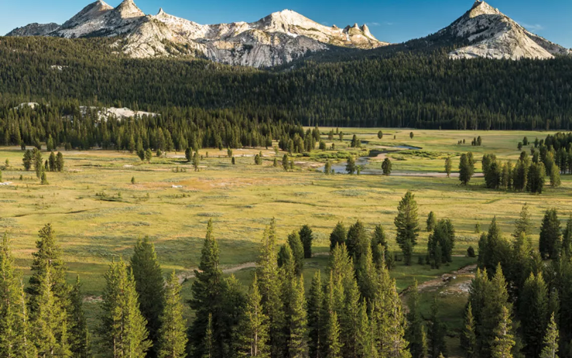 Tuolumne in Pictures 3