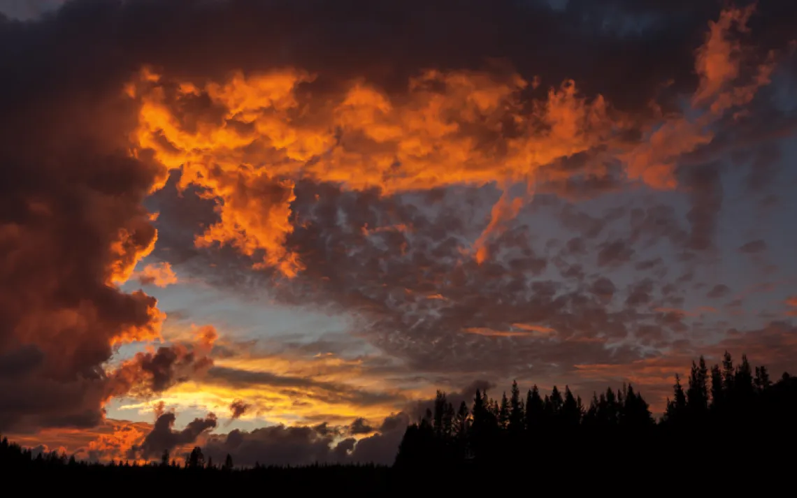 Tuolumne in Pictures 4