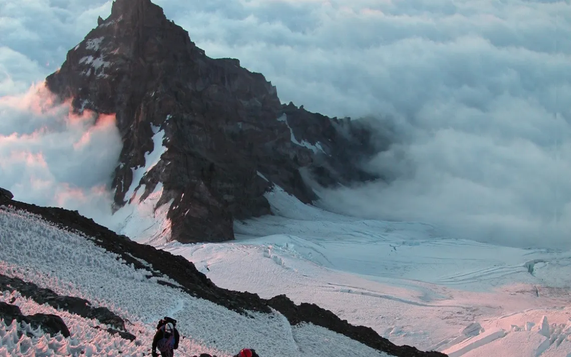 Skyline/Muir Snowfield Trail, Mt Rainier.