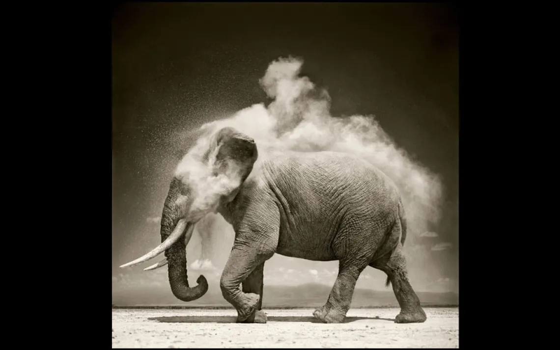 ELEPHANT WITH EXPLODING DUST | AMBOSELI, KENYA, 2004