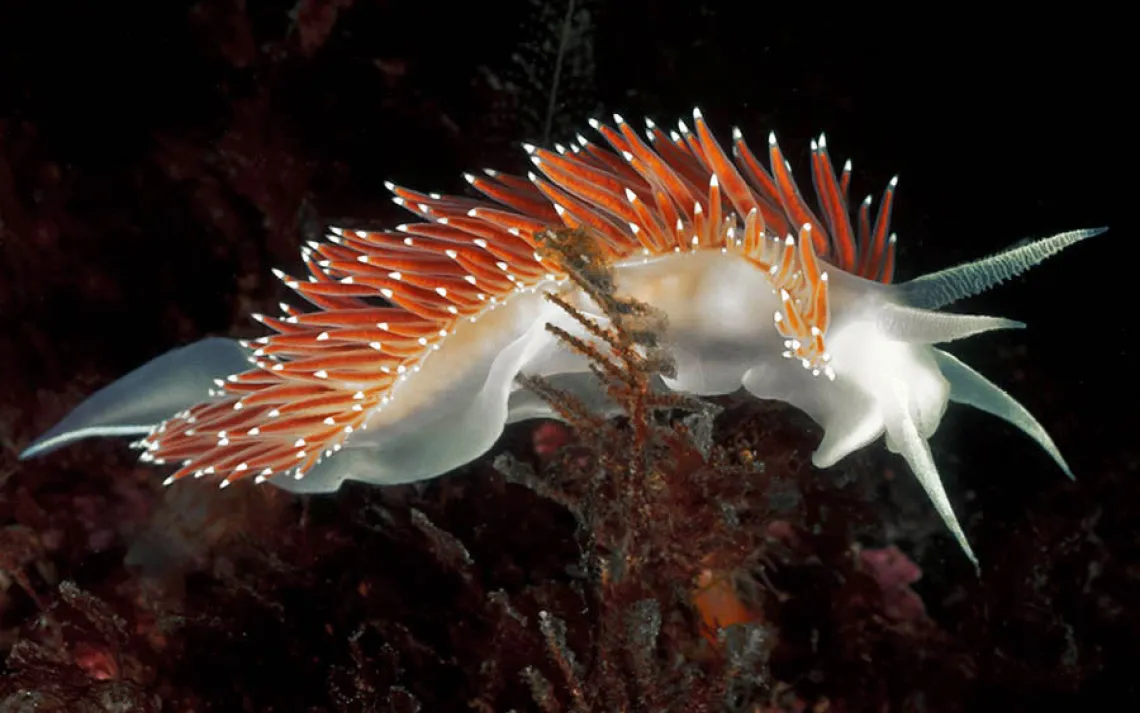 Underwater World