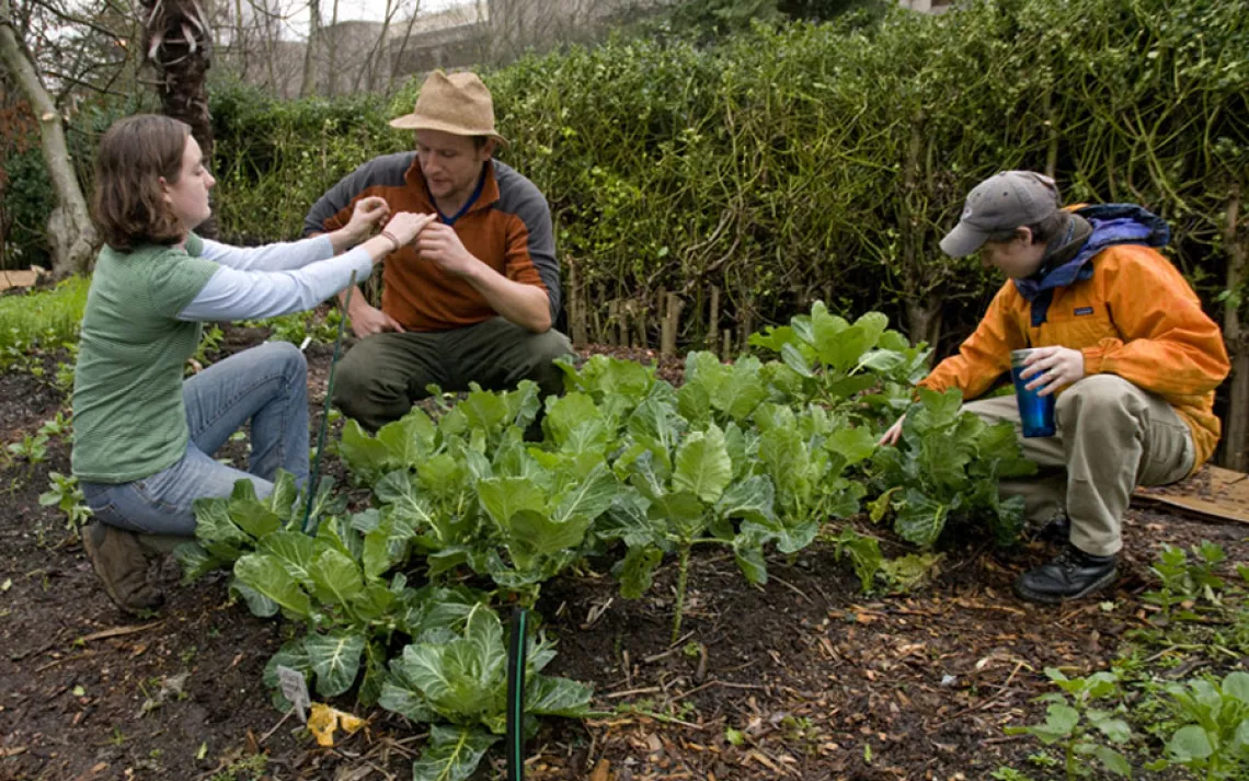 University of Washington