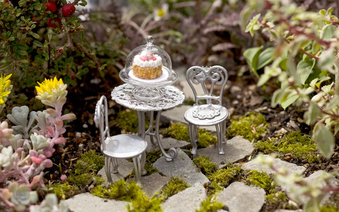 Mini Gardens