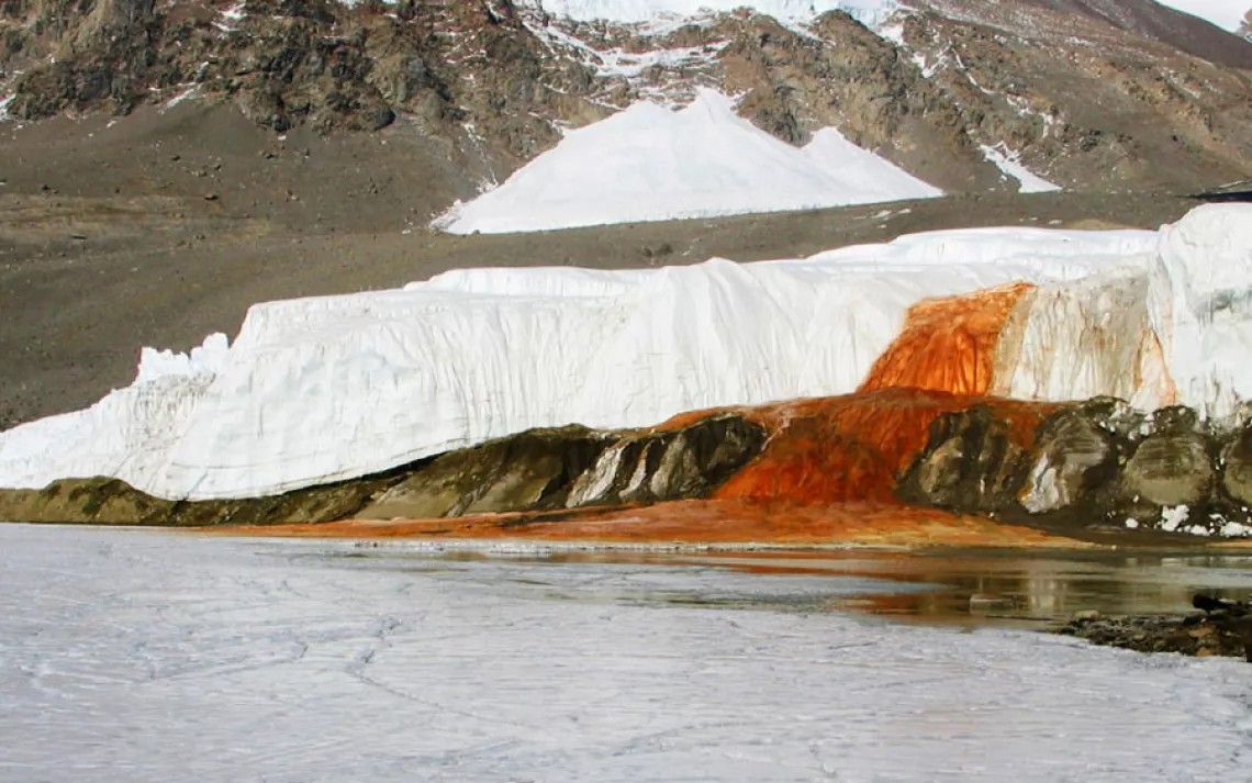 Blood Falls' grisly appearance comes from its iron-laden waters, which rust when they come in contact with the air, reddening the briny outflow as it trickles down Taylor Glacier onto ice-covered West Lake Bonney.