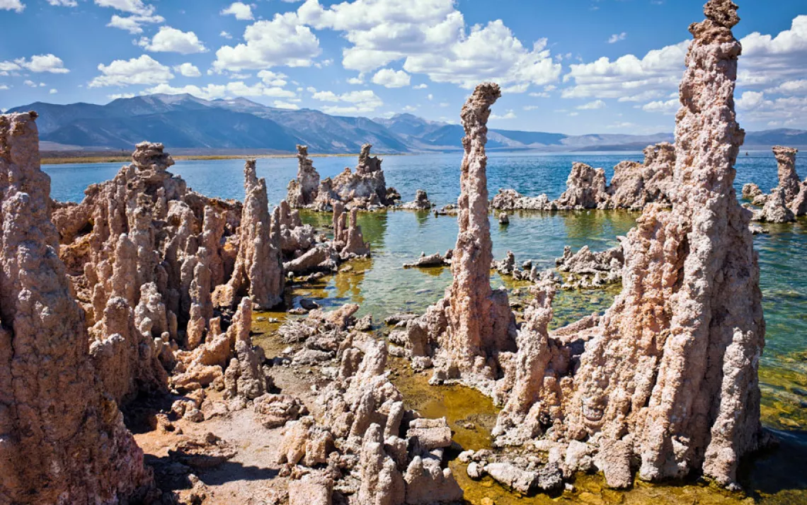 At first glance, California's Mono Lake seems eerily barren. Twisting limestone pinnacles, called tufa towers, line its shores, some reaching heights of over 30 feet. 