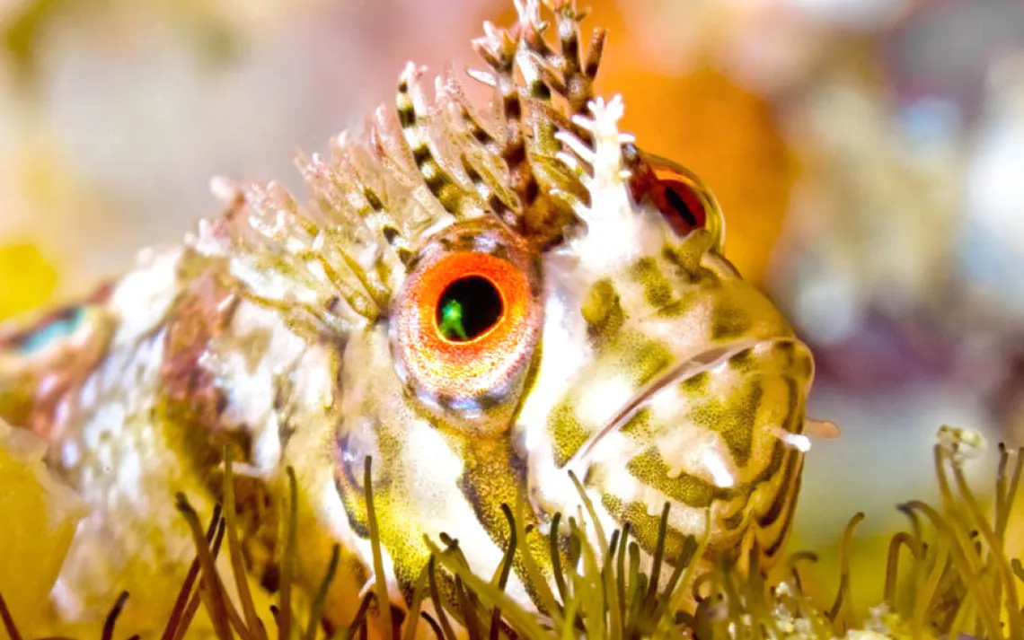Underwater World