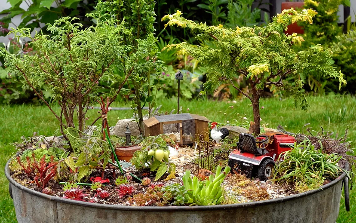 Mini Gardens