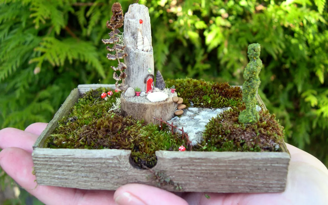 Mini Gardens