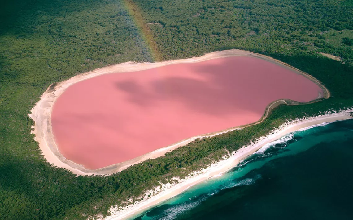 Lake Hillier sits like a giant punchbowl at the edge of Middle Island in Western Australia's Recherche Archipelago, surrounded by a thick forest of paperbark and eucalyptus trees. 