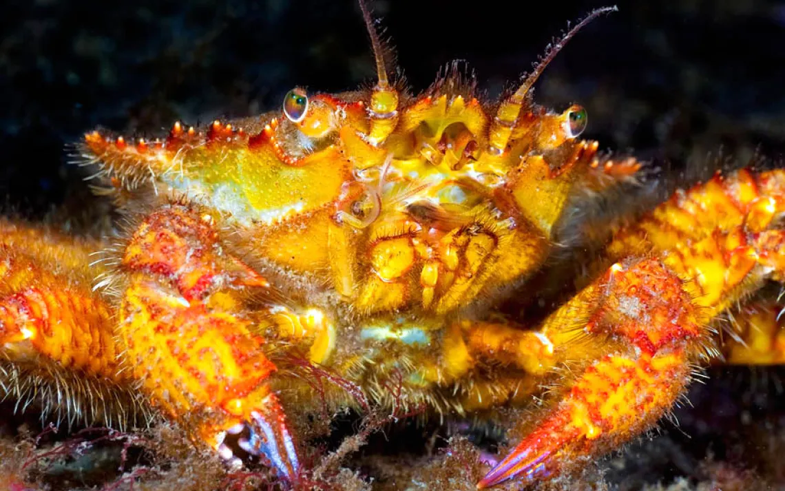 Underwater World