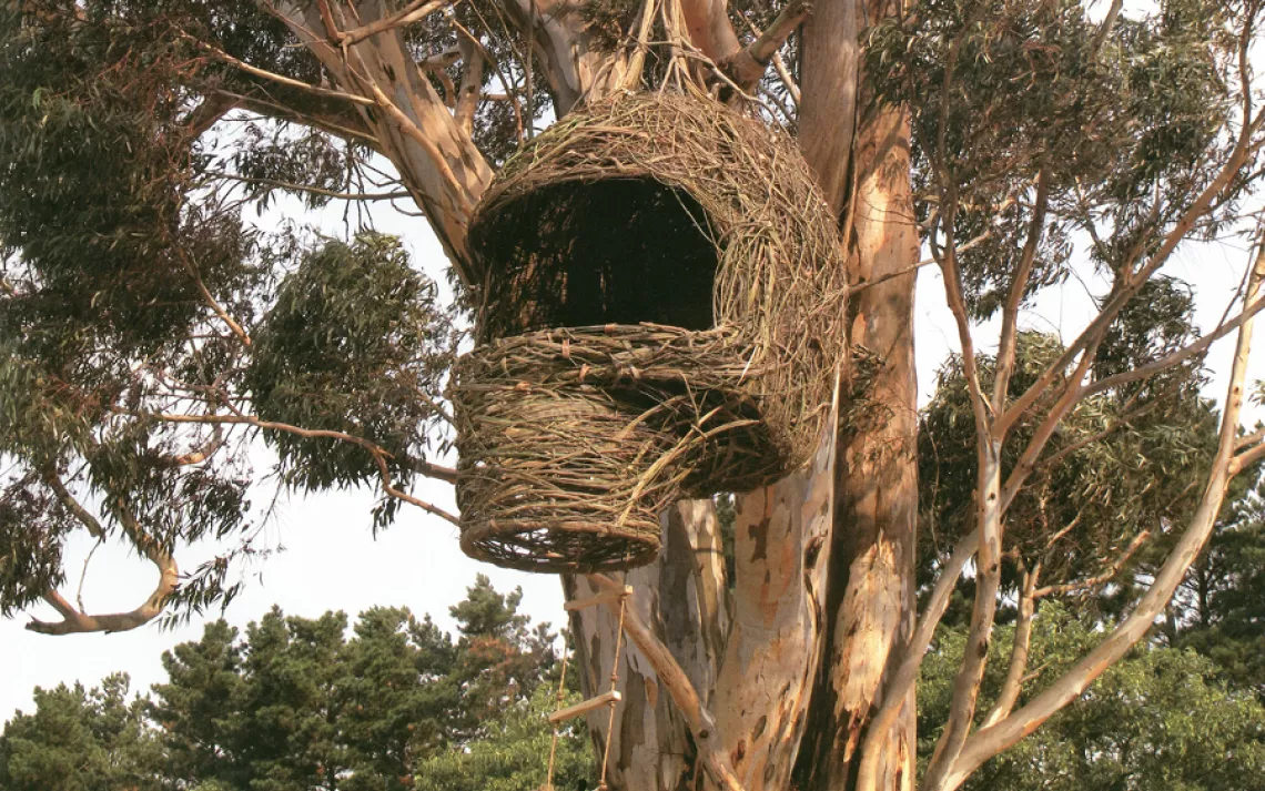 A treehouse called Weavers Nest, by Porky Hefer and Animal Farm in Cape Town South Africa.