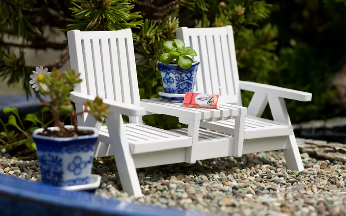 Mini Gardens