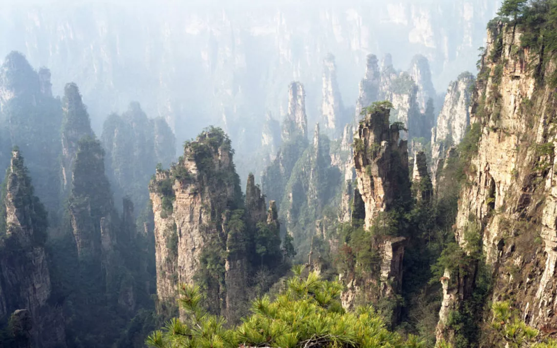 Years of erosion by vegetation and expanding ice carved Zhangjiajie National Park's narrow, terraced sandstone pillars, some of which climb over 650 feet.