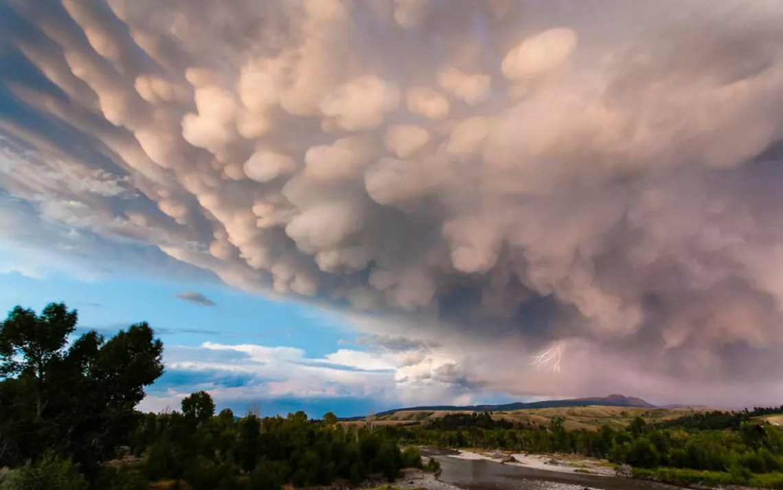 Mammatus clouds