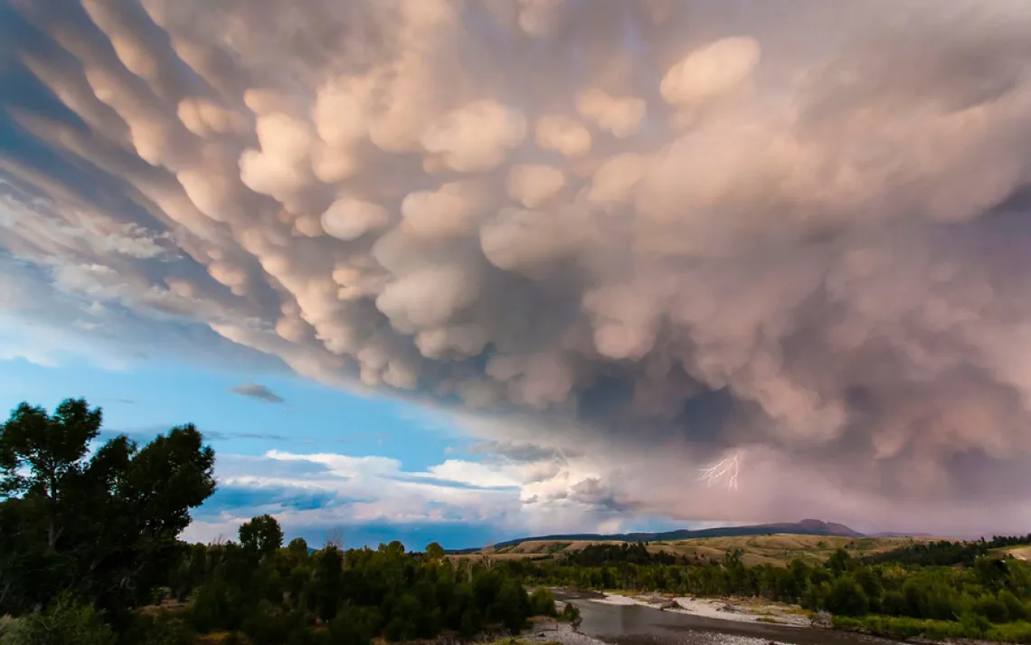 Mammatus clouds